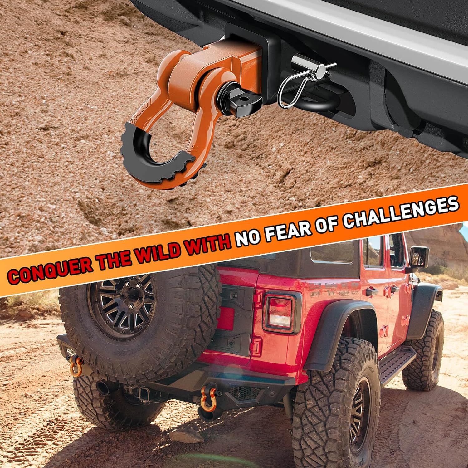3/4" D Ring Shackles
